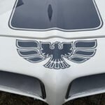 36963511-17